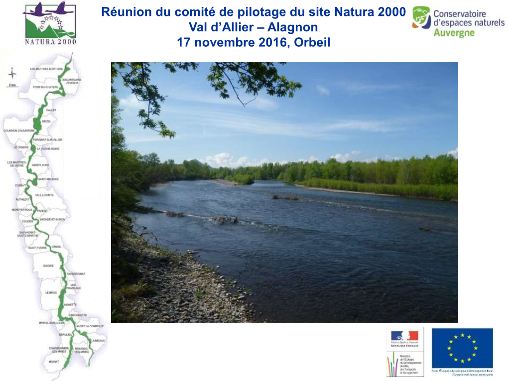 Le Site Natura 2000 Val D'allier Jumeaux / Pont-Du-Château