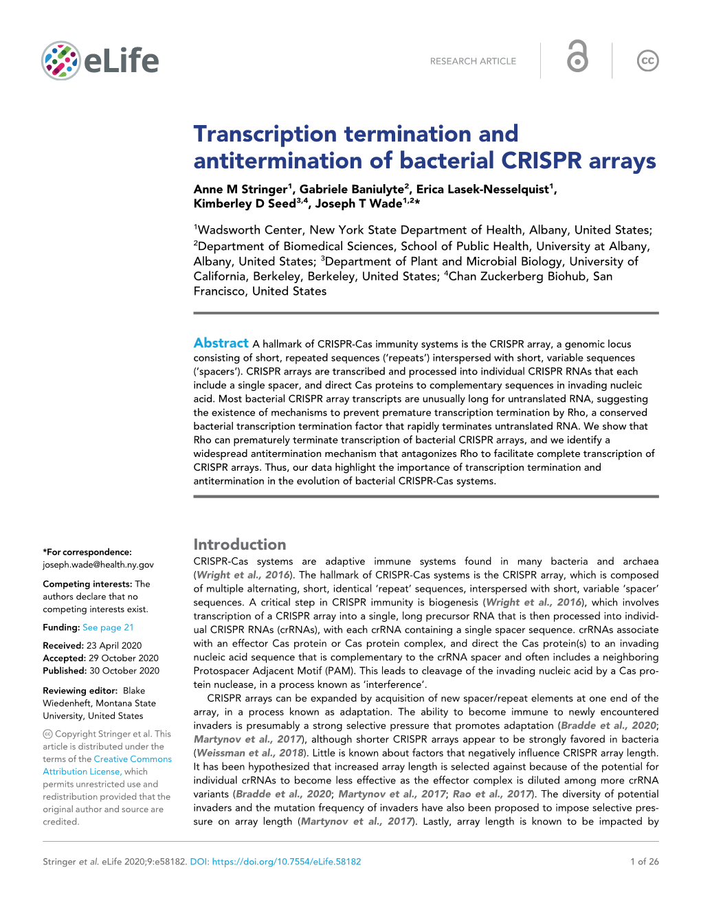 Transcription Termination and Antitermination of Bacterial CRISPR