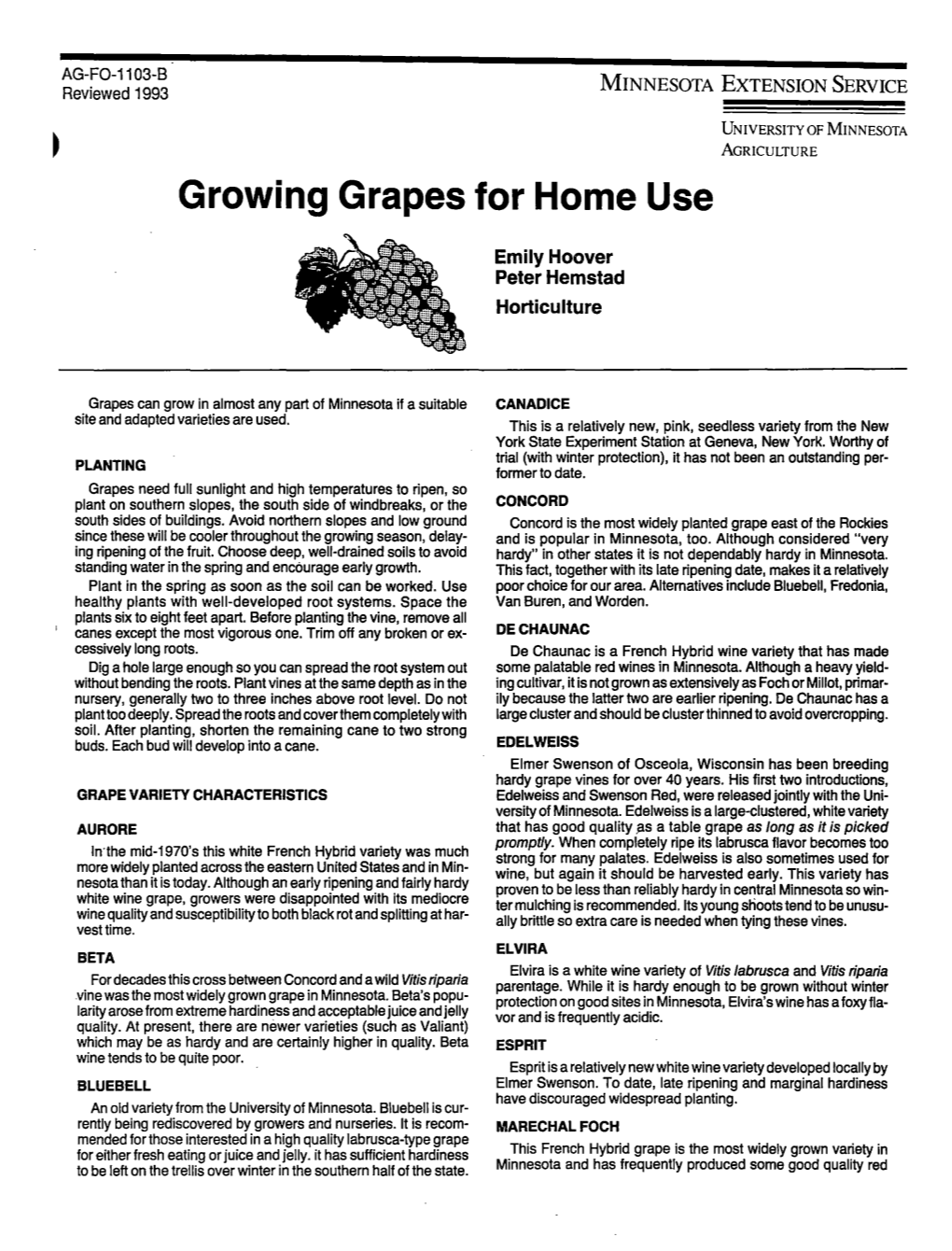 Growing Grapes for Home Use