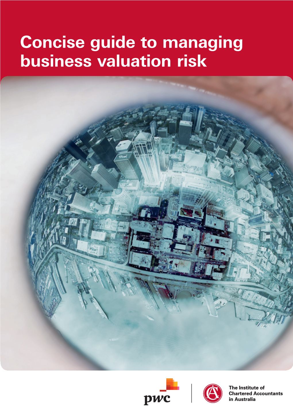 Concise Guide to Managing Business Valuation Risk