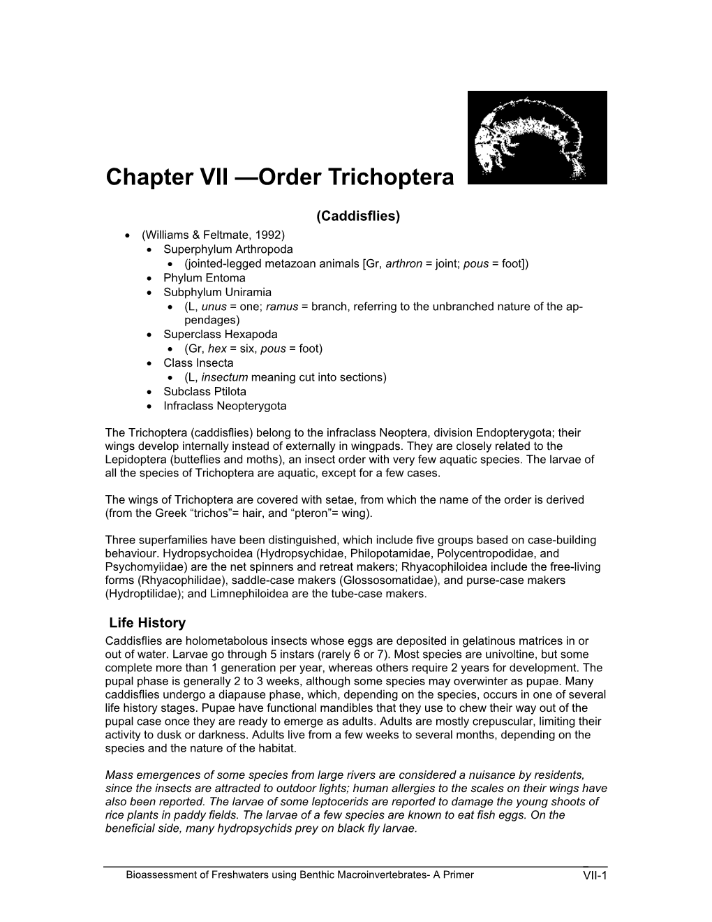 Chapter VII —Order Trichoptera