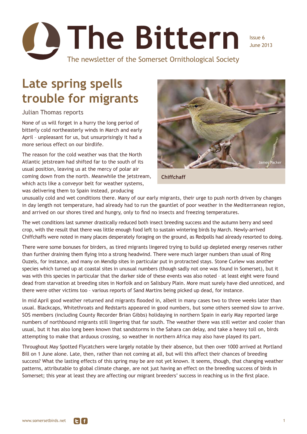 The Bittern June 2013 the Newsletter of the Somerset Ornithological Society