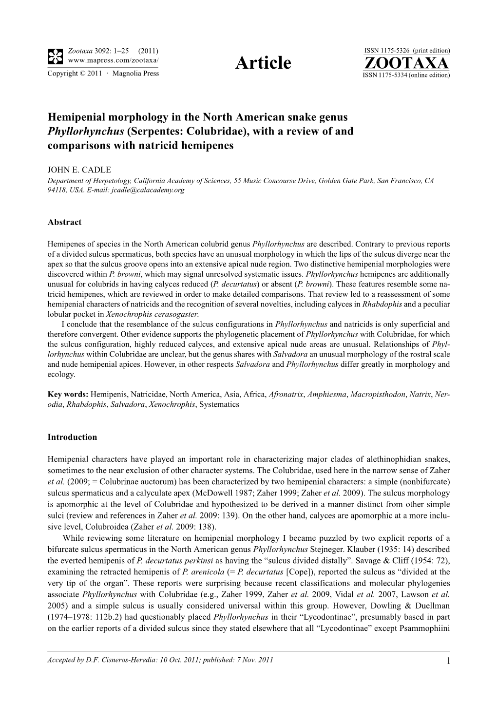 Hemipenial Morphology in the North American Snake Genus Phyllorhynchus (Serpentes: Colubridae), with a Review of and Comparisons with Natricid Hemipenes