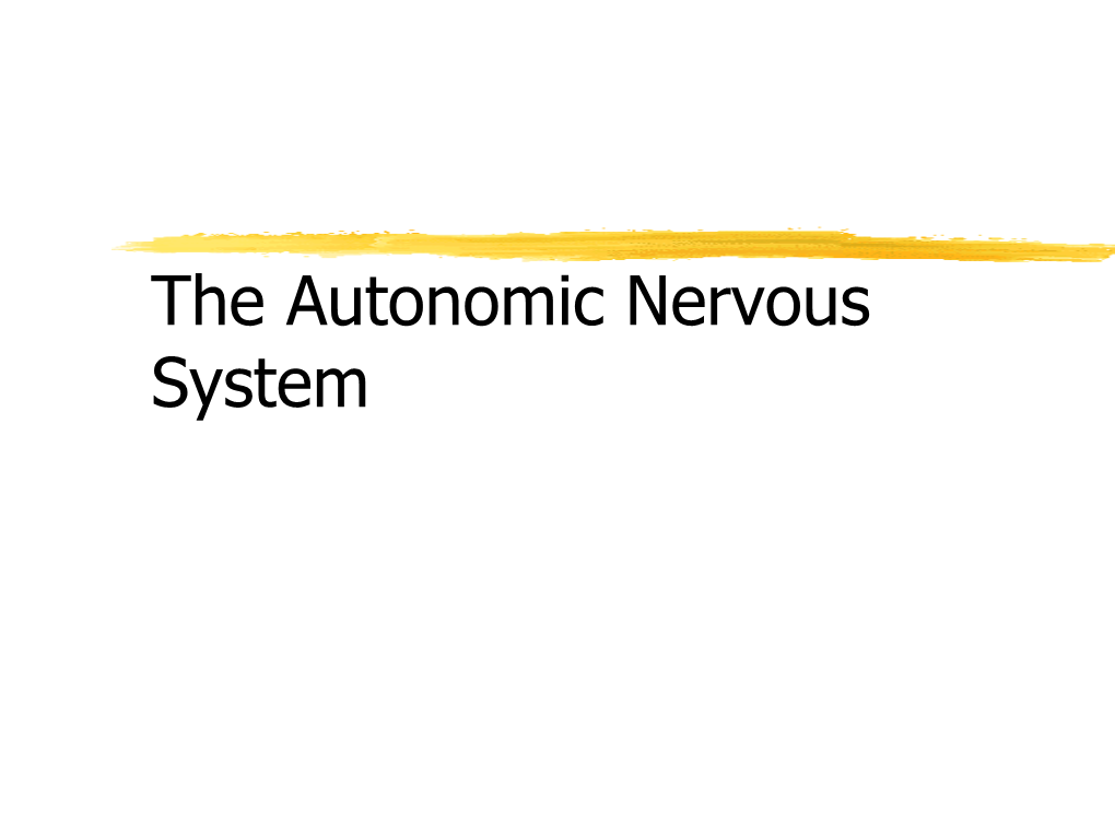 Sympathetic Nervous System