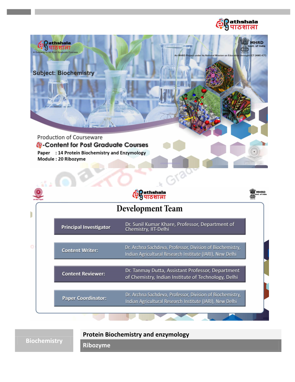 Biochemistry Protein Biochemistry and Enzymology Ribozyme