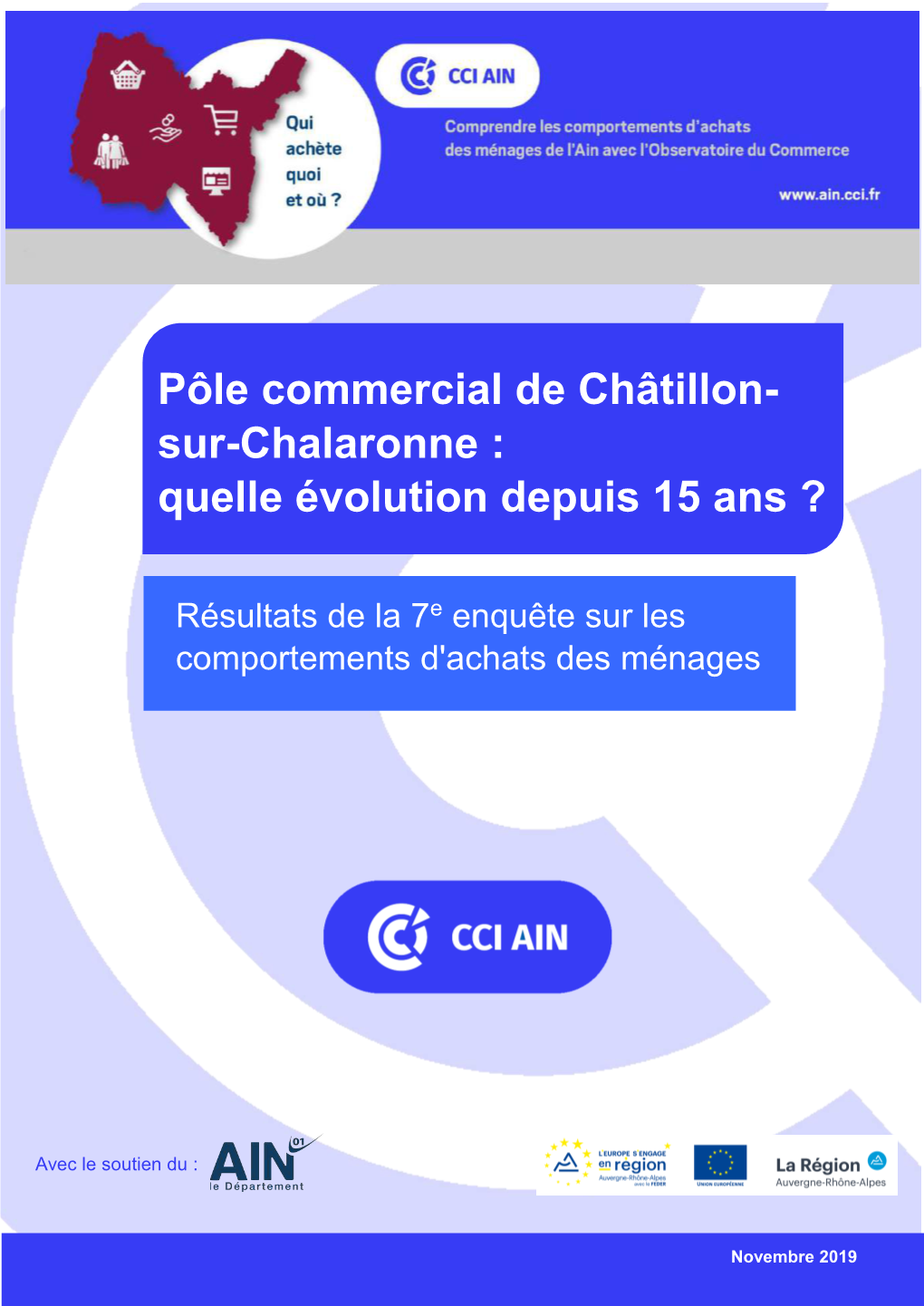 Pôle Commercial De Châtillon- Sur-Chalaronne : Quelle Évolution