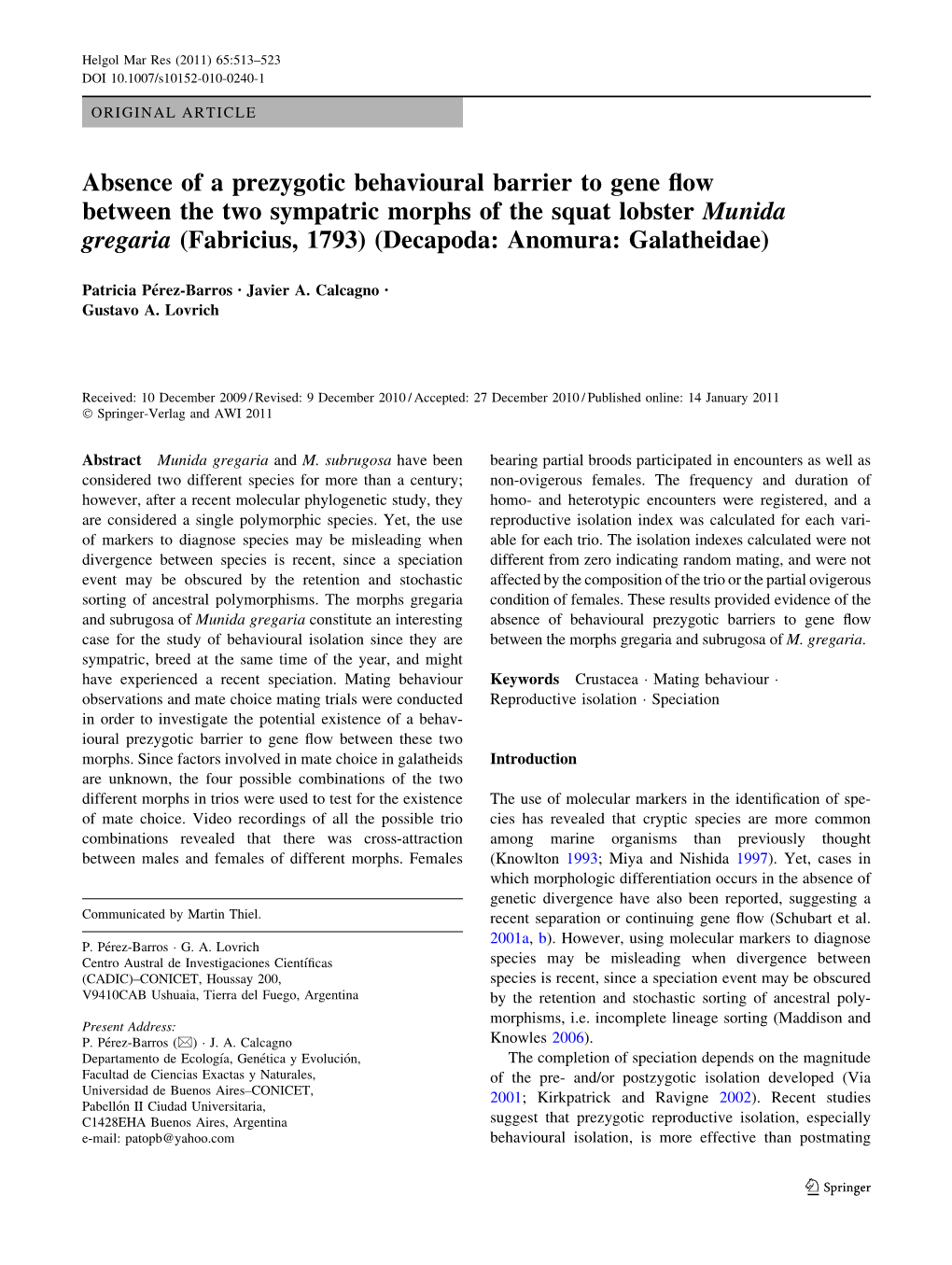 Absence of a Prezygotic Behavioural Barrier to Gene Flow Between the Two Sympatric Morphs of the Squat Lobster Munida Gregaria