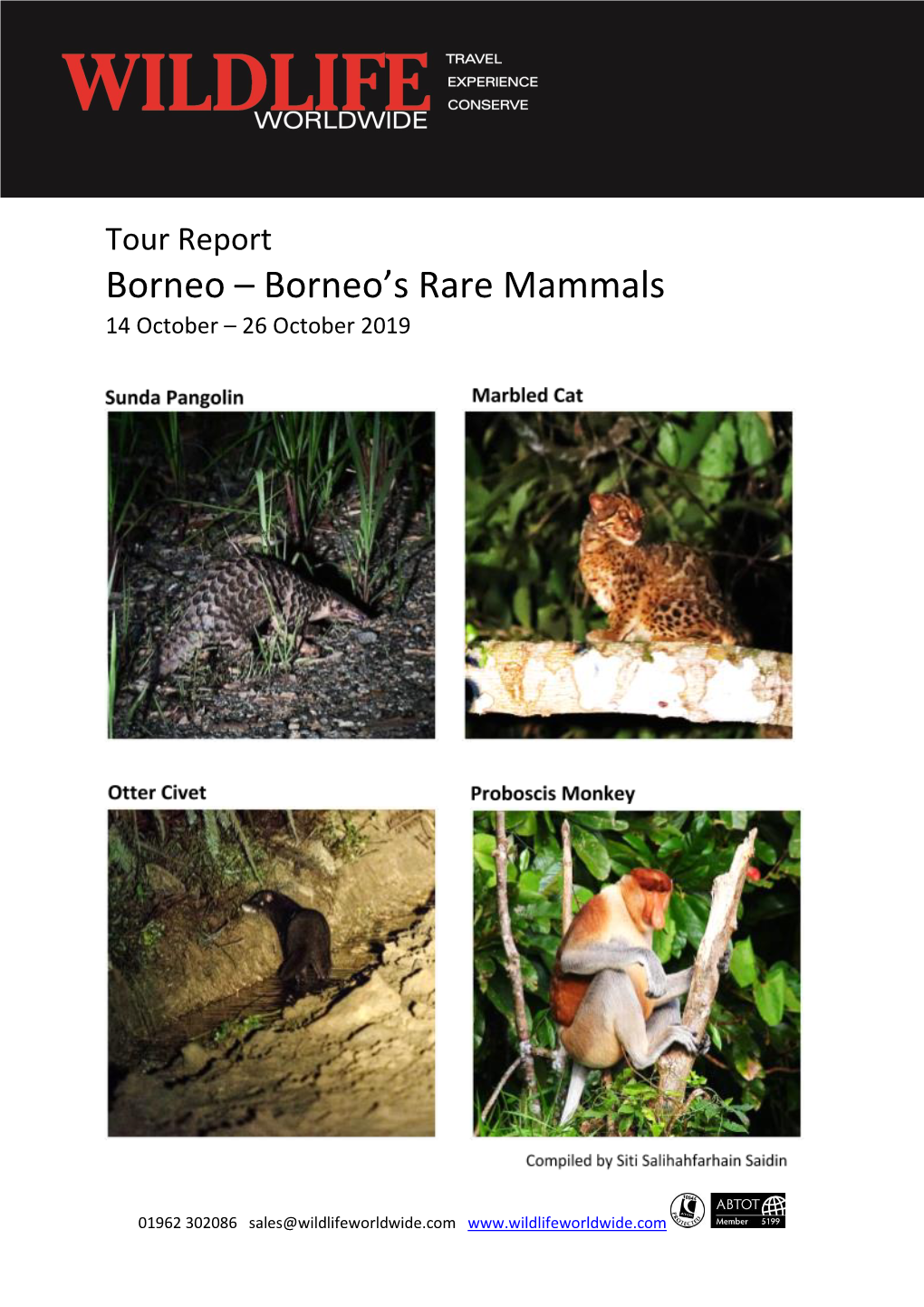 Borneo's Rare Mammals