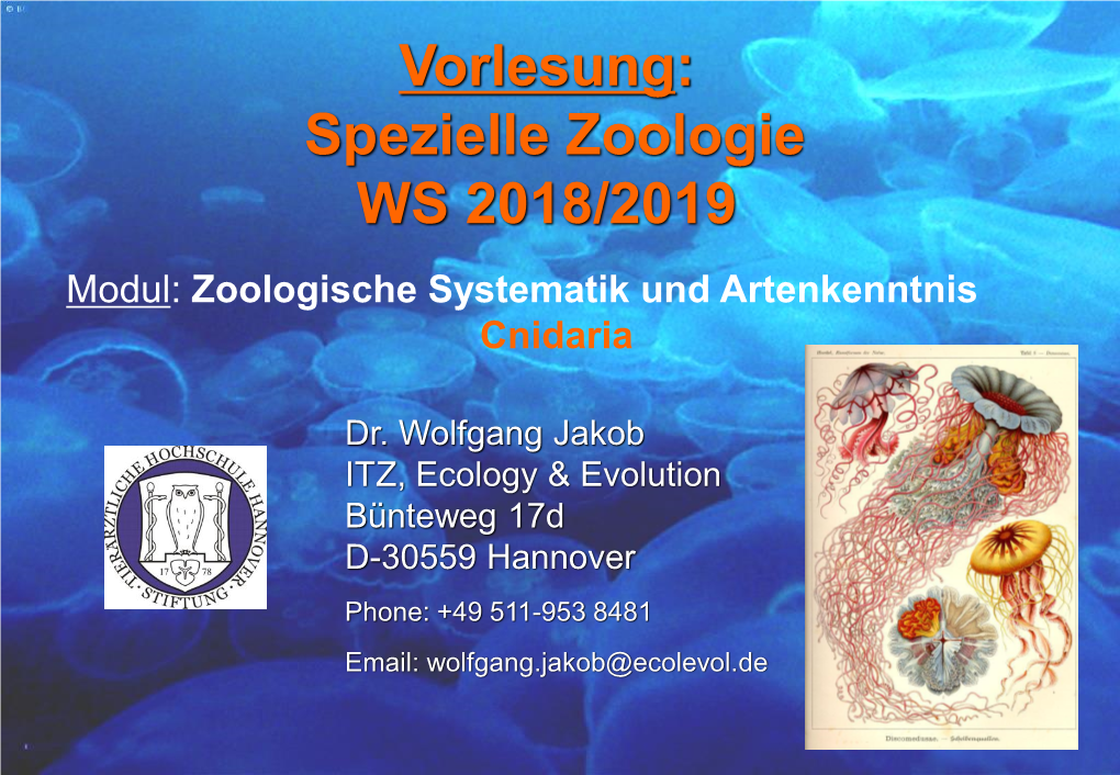 Vorlesung: Spezielle Zoologie WS 2018/2019 Modul : Zoologische Systematik Und Artenkenntnis