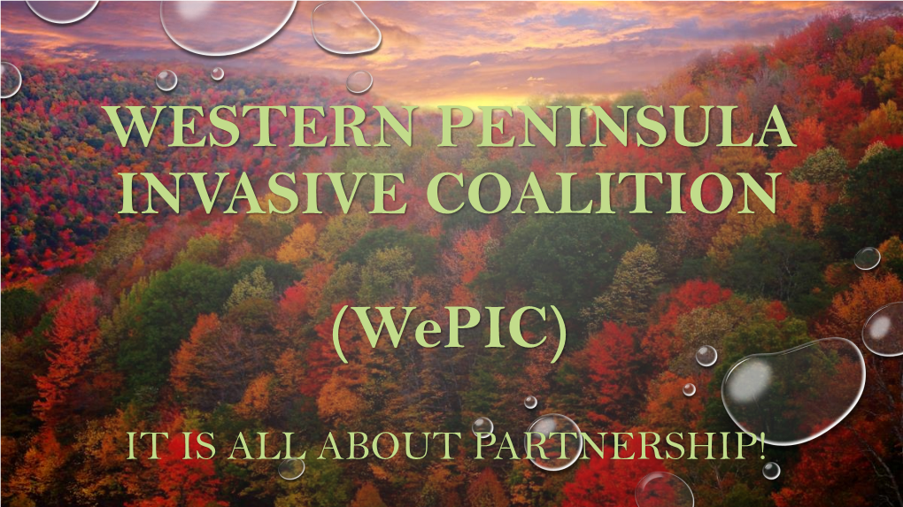 Western Peninsula Invasive Coalition (Wepic)