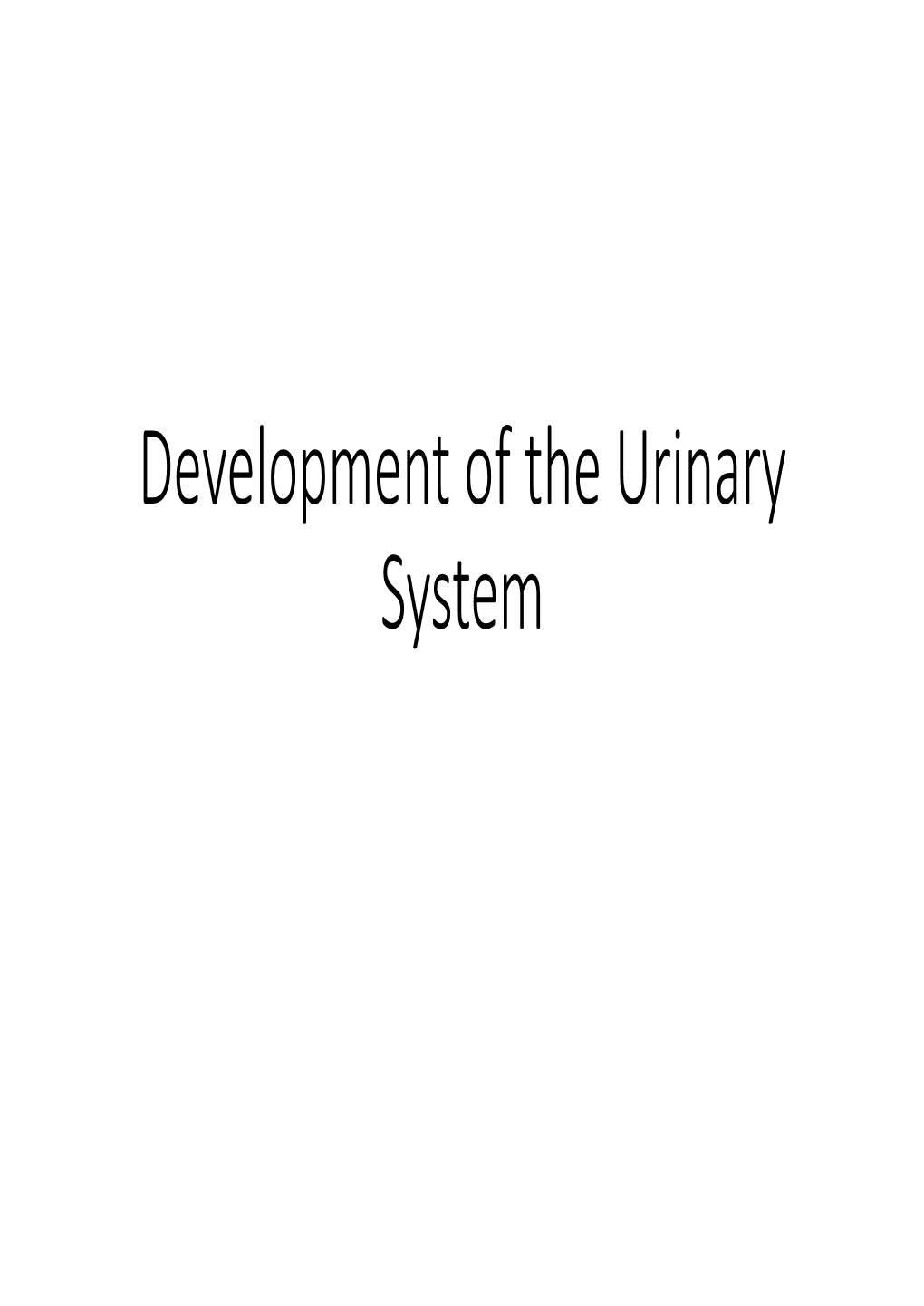 Development of the Urinary System Lecture Objectives