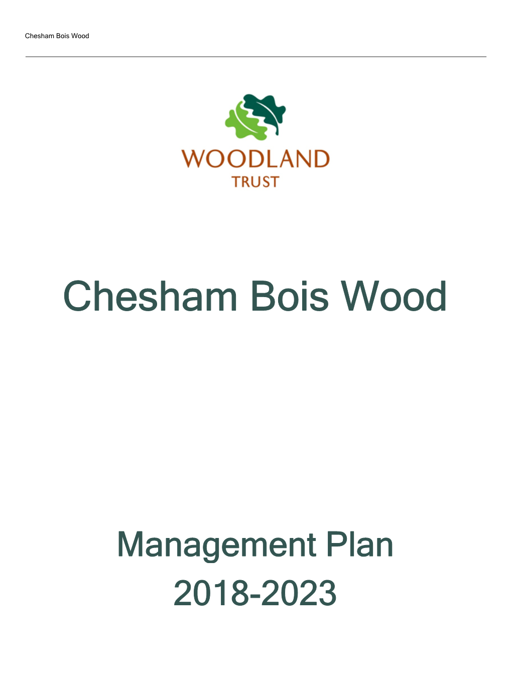Chesham Bois Wood