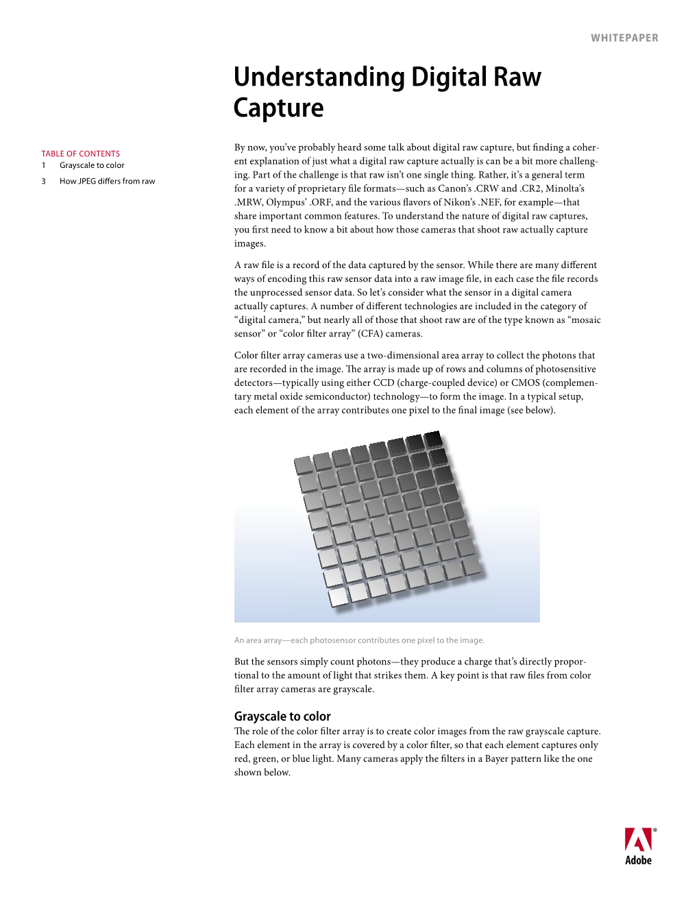 Understanding Digital Raw Capture