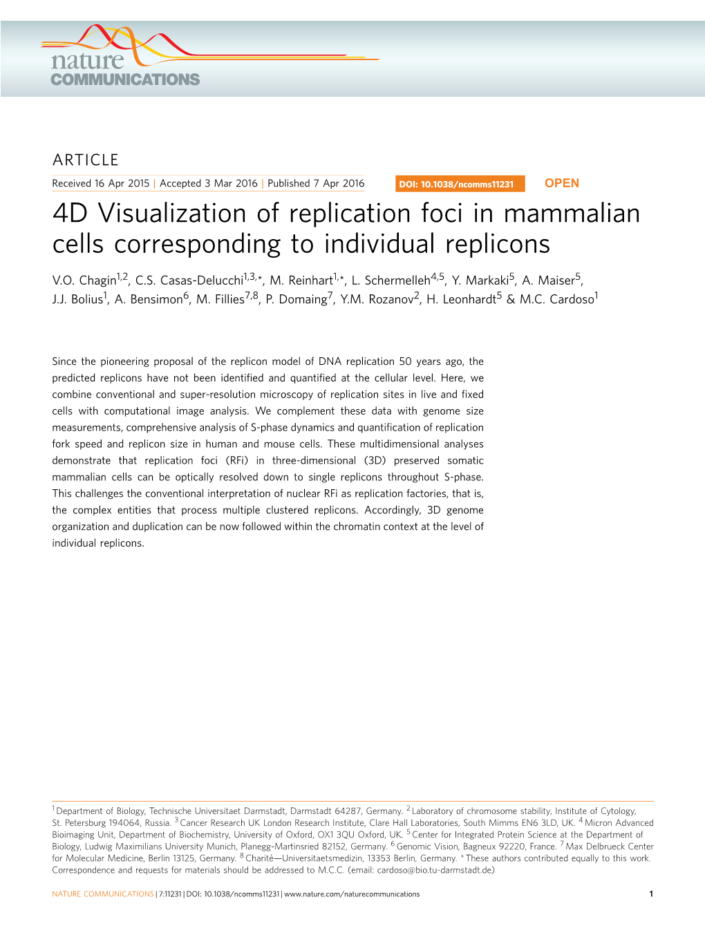 4D Visualization of Replication Foci in Mammalian Cells Corresponding to Individual Replicons