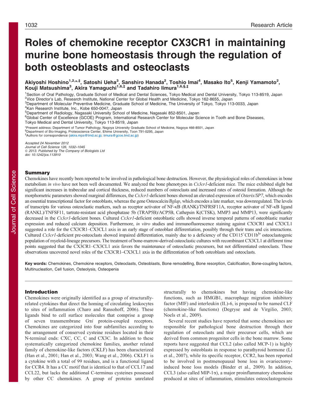 Roles of Chemokine Receptor CX3CR1 in Maintaining Murine Bone Homeostasis Through the Regulation of Both Osteoblasts and Osteocl