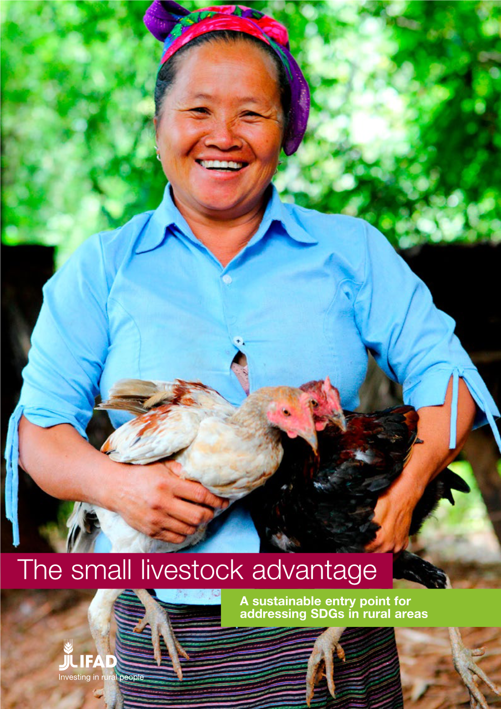 The Small Livestock Advantage. a Sustainable Entry Point for Addressing Sdgs in Rural Areas