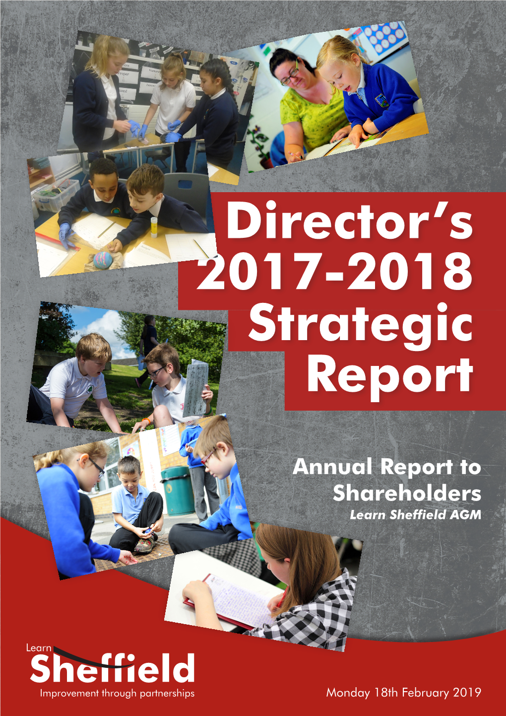 Director's 2017-2018 Strategic Report