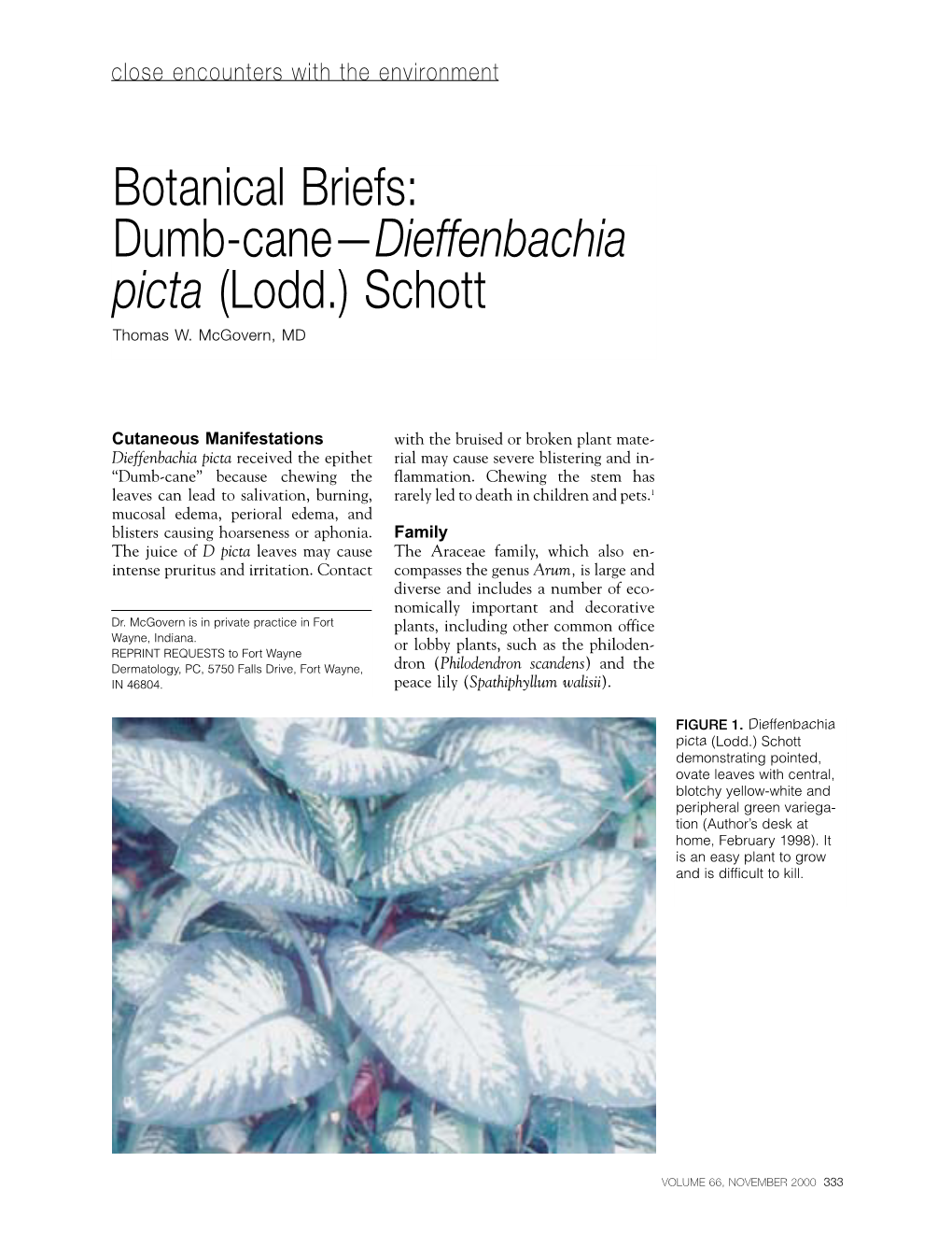 Botanical Briefs: Dumb-Cane—Dieffenbachia Picta (Lodd.) Schott Thomas W