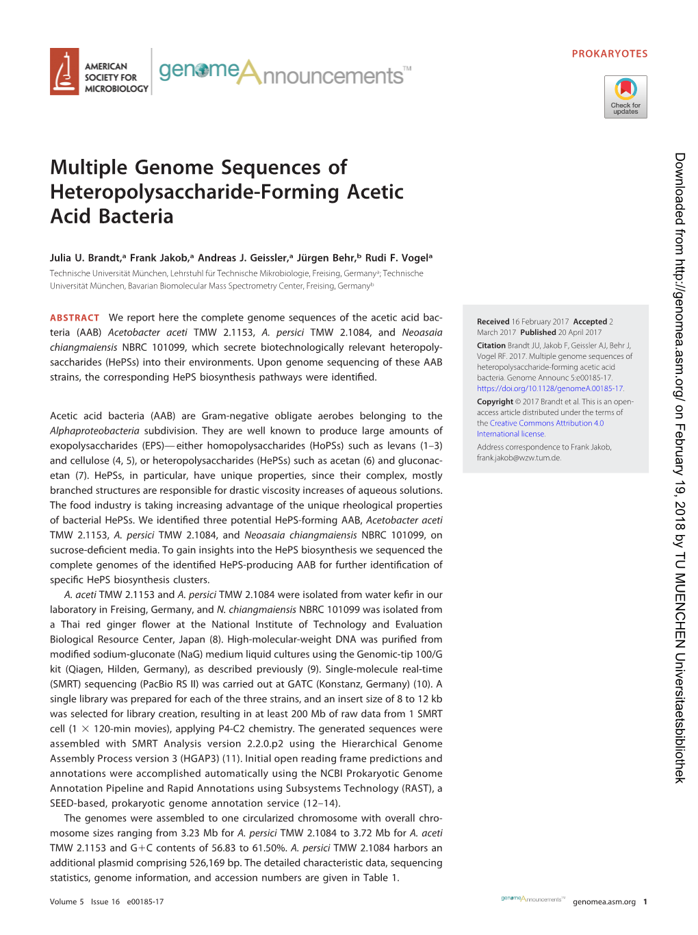 Multiple Genome Sequences of Heteropolysaccharide-Forming Acetic Acid Bacteria