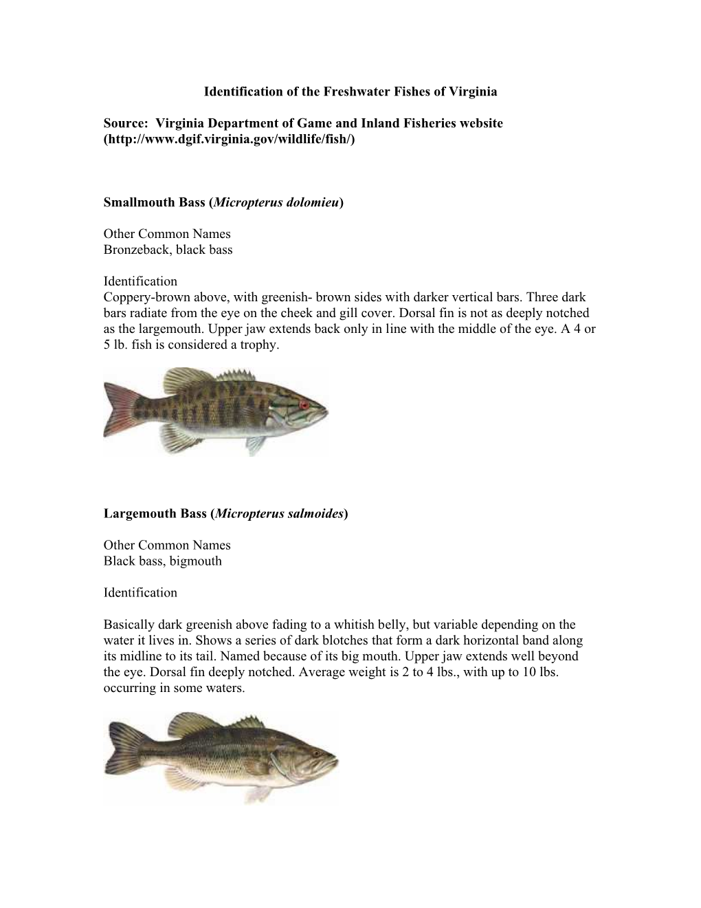 Master Naturalist Fish Identification