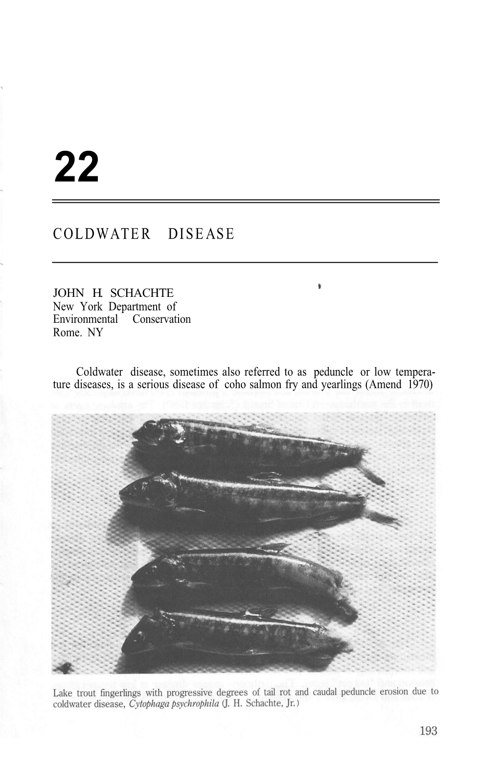 Coldwater Disease