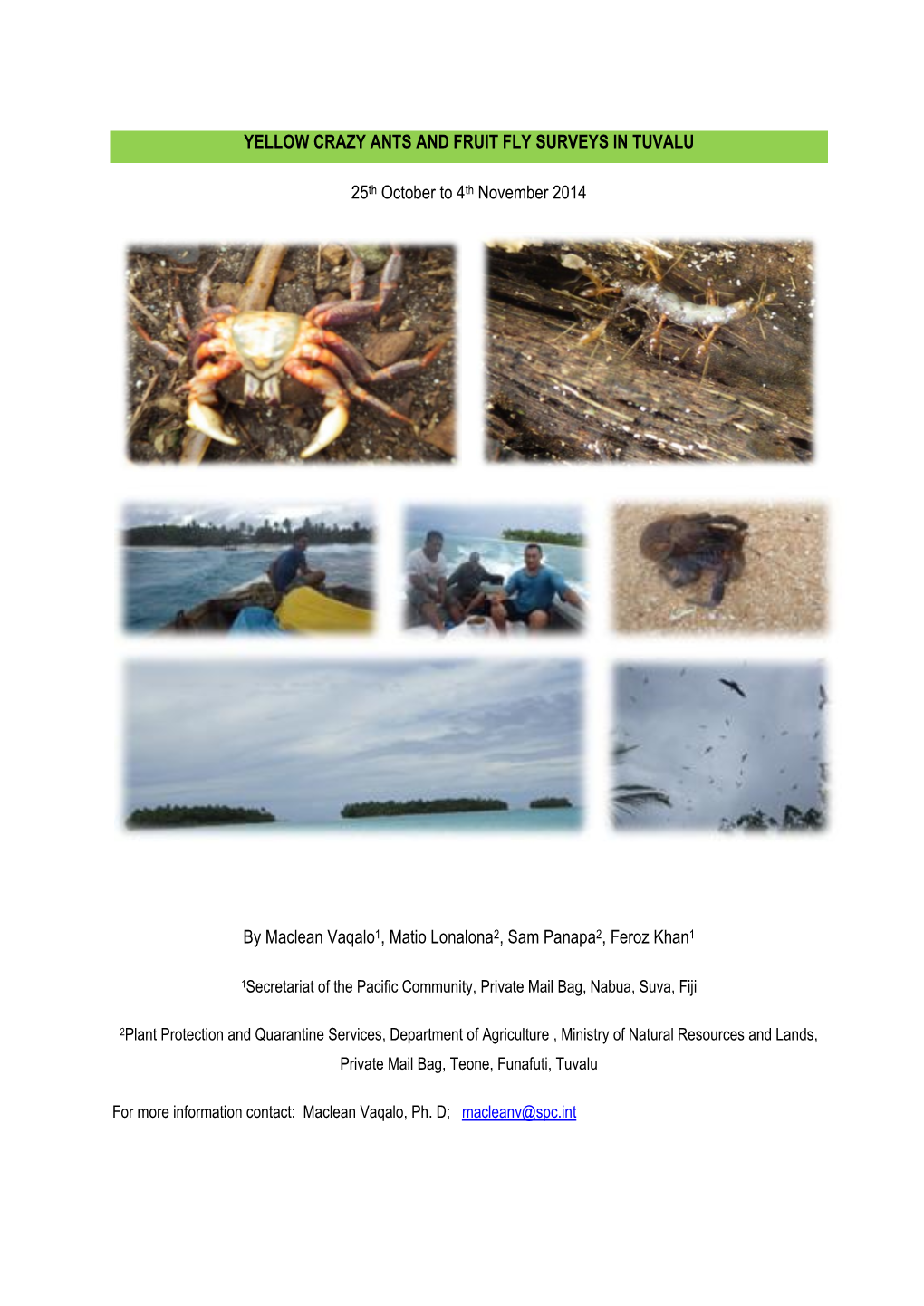 YELLOW CRAZY ANTS and FRUIT FLY SURVEYS in TUVALU 25Th