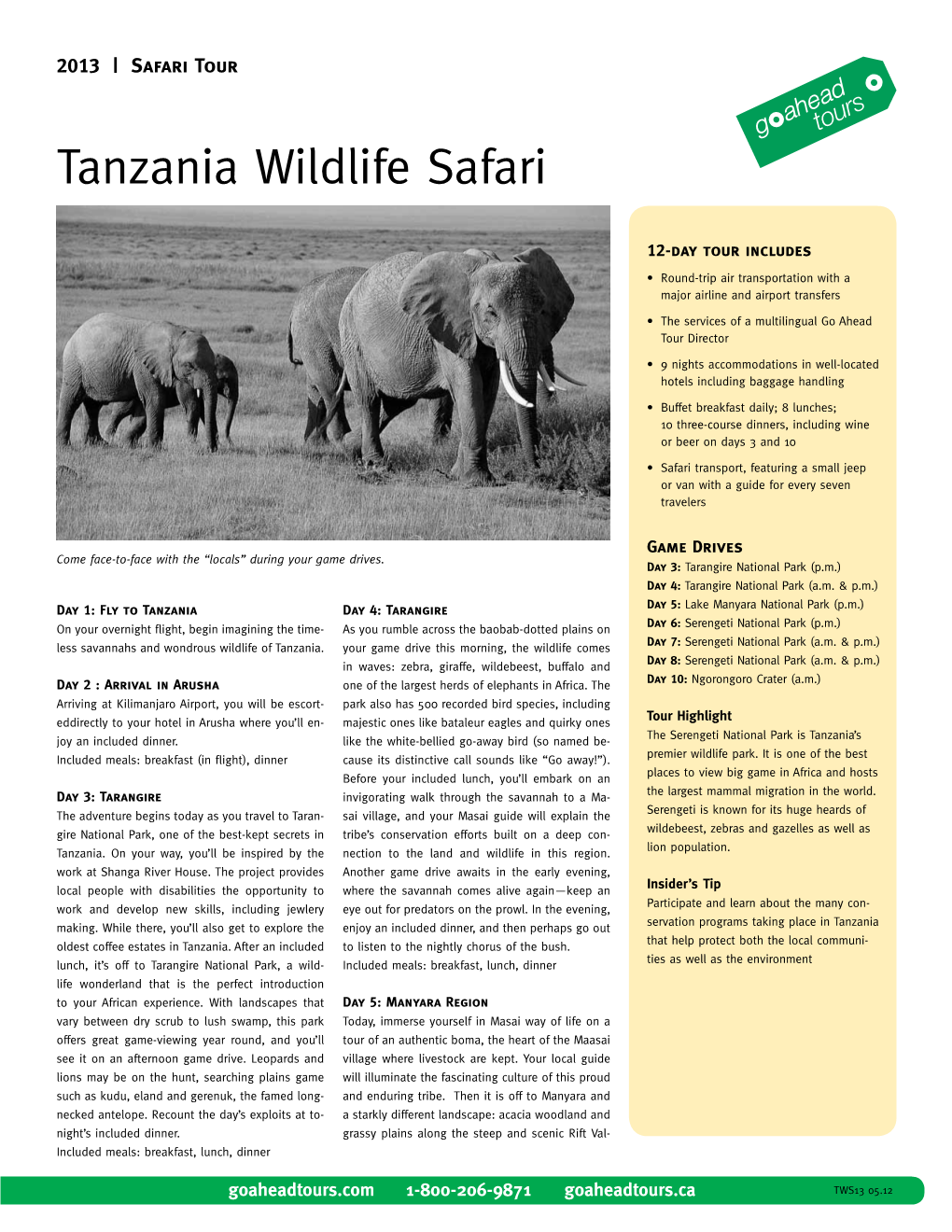 Tanzania Wildlife Safari