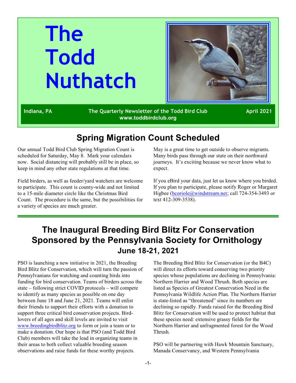 The Todd Nuthatch