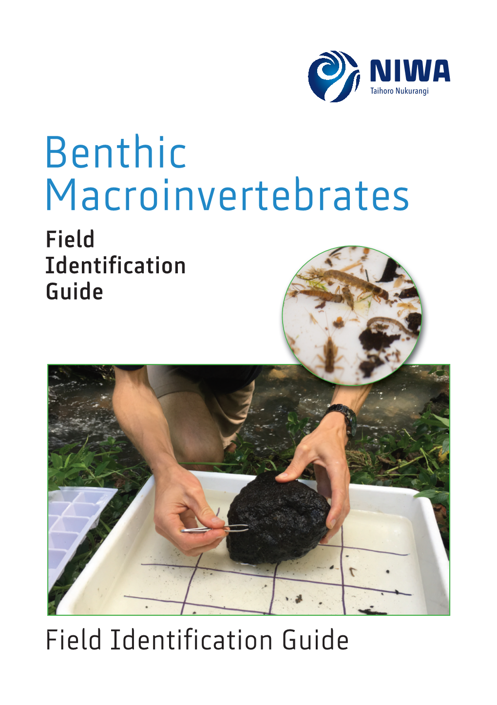 Benthic Macroinvertebrates Field Identification Guide