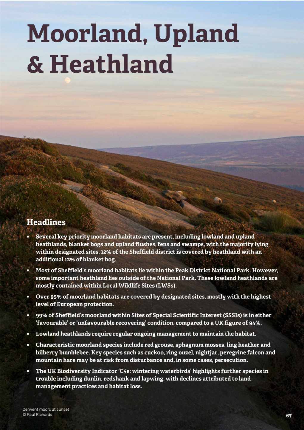 Moorland, Upland & Heathland