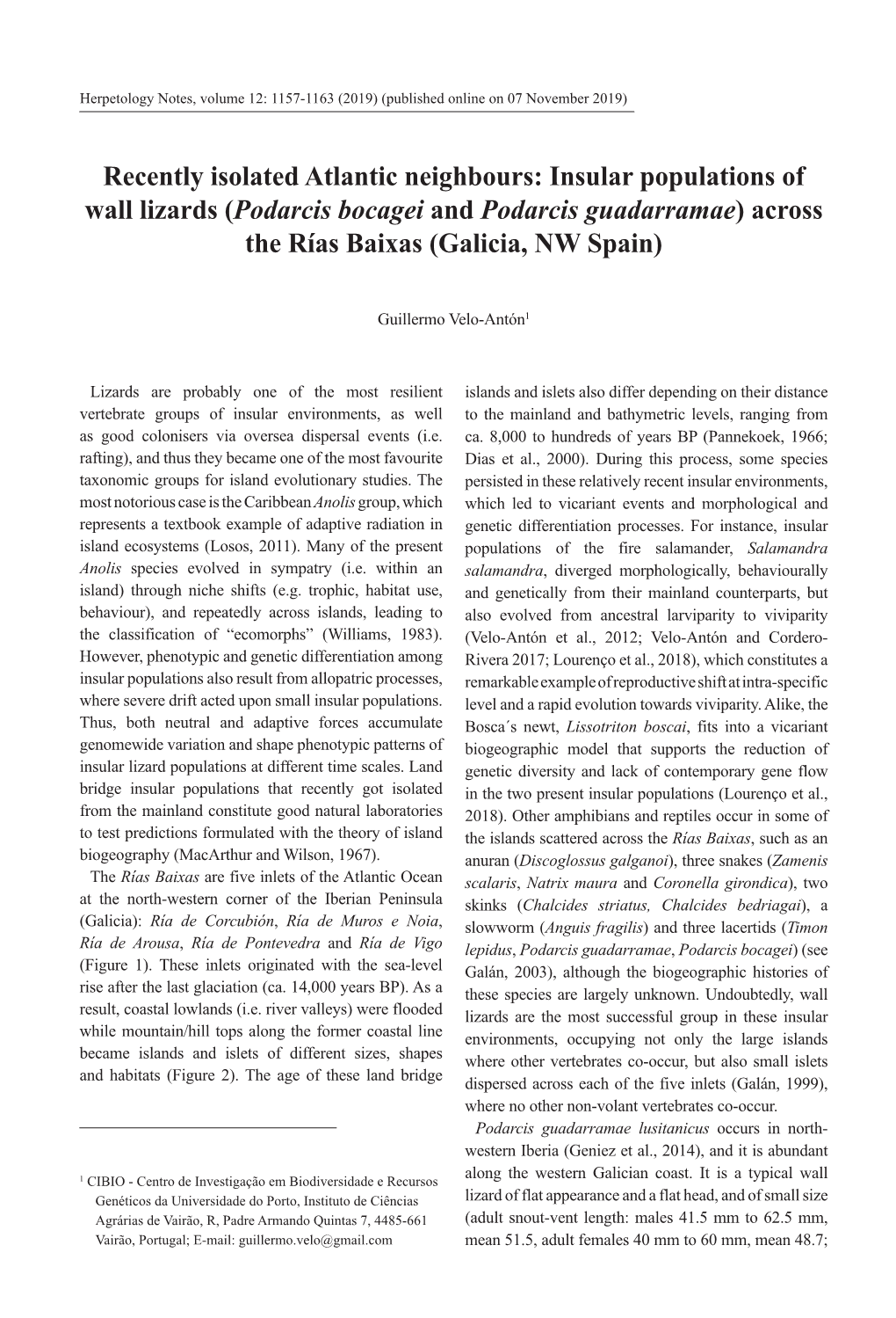 Insular Populations of Wall Lizards (Podarcis Bocagei and Podarcis Guadarramae) Across the Rías Baixas (Galicia, NW Spain)