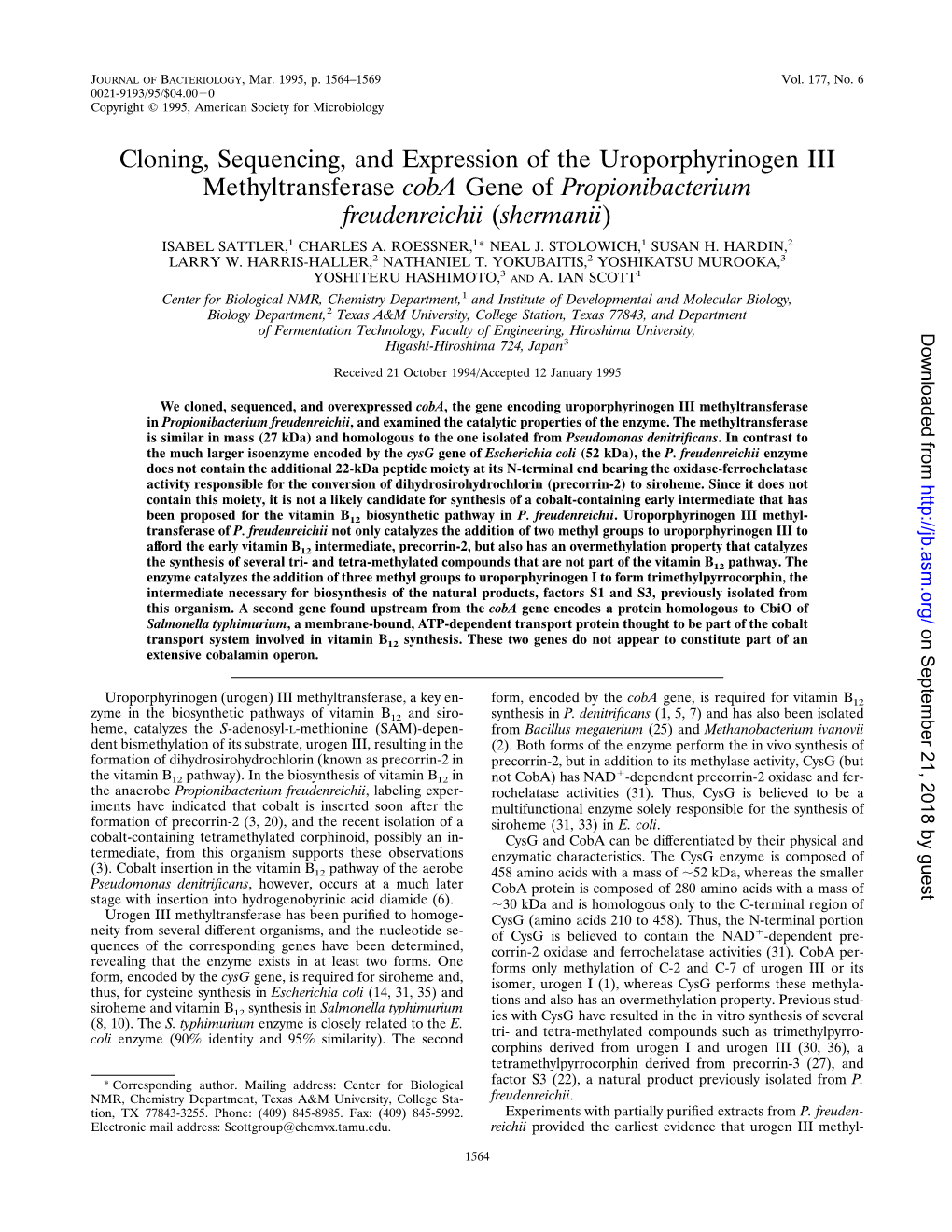 Cloning, Sequencing, and Expression of the Uroporphyrinogen III Methyltransferase Coba Gene of Propionibacterium Freudenreichii (Shermanii) ISABEL SATTLER,1 CHARLES A