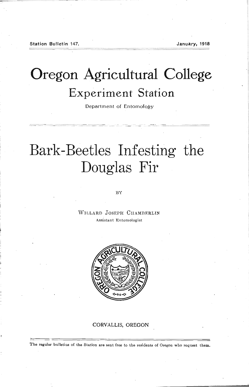 Bark-Beetles Infesting the Douglas Fir