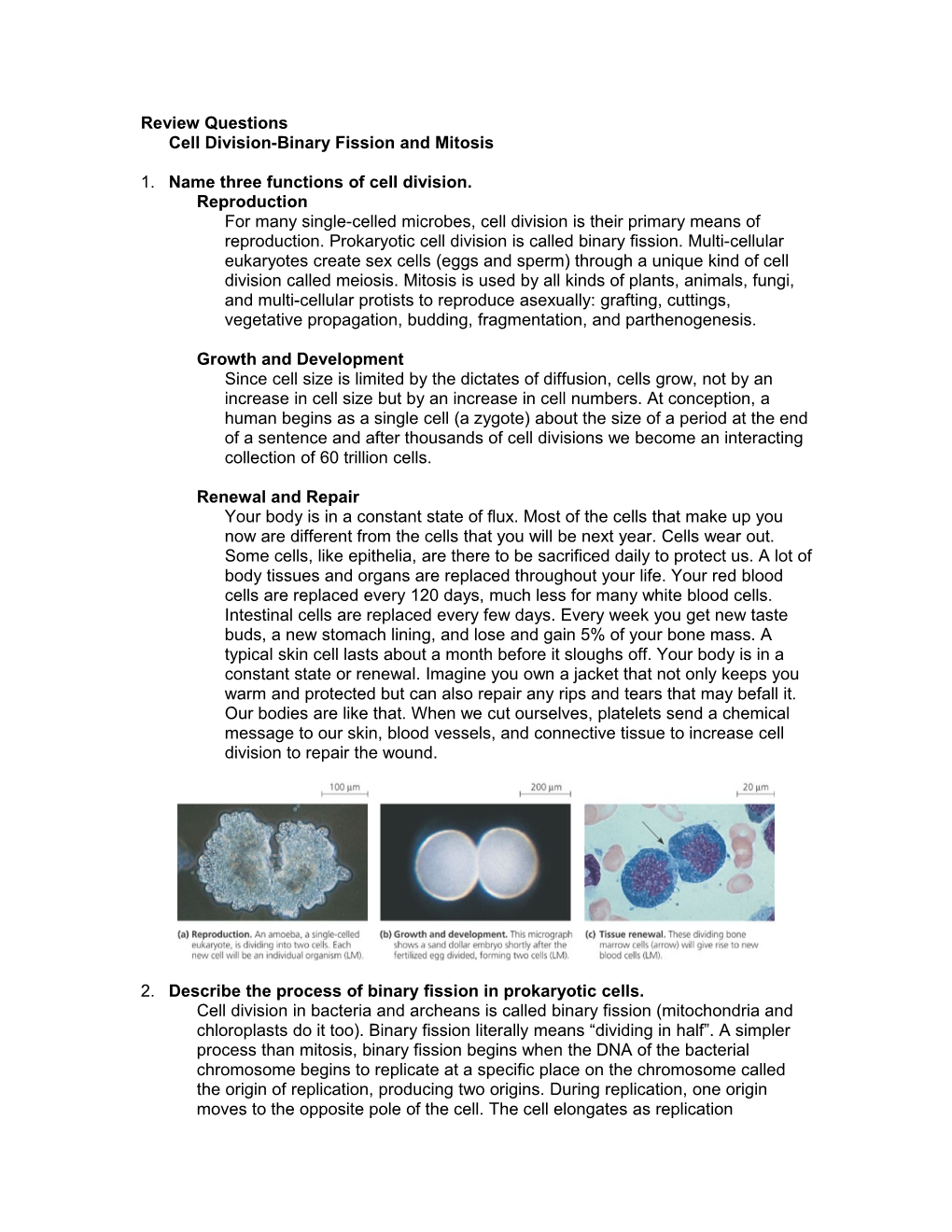 Cell Division Review