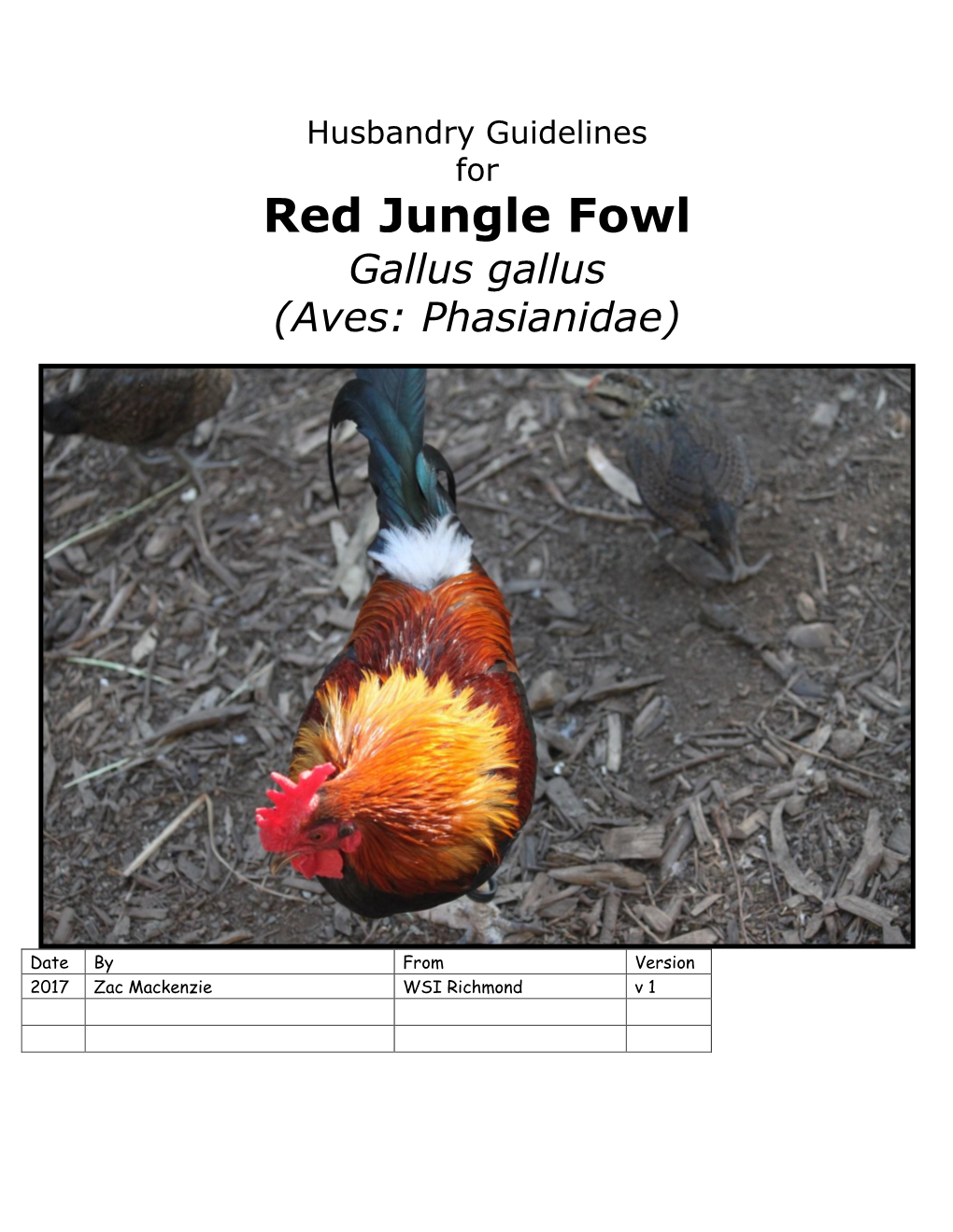 Husbandry Guidelines for Red Jungle Fowl Gallus Gallus (Aves: Phasianidae)