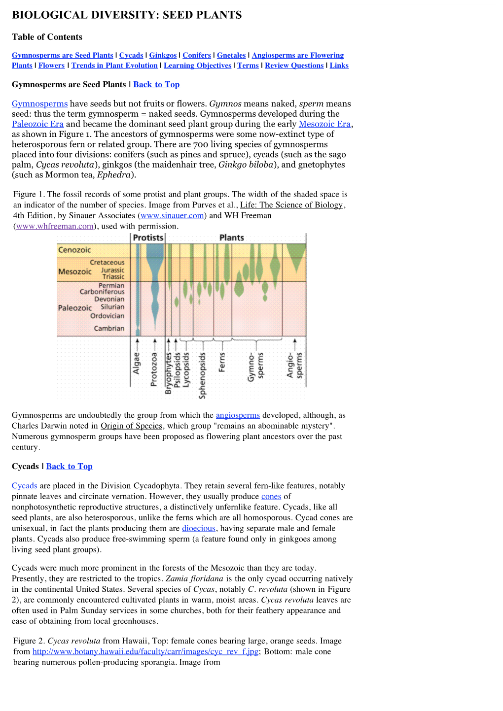 Biological Diversity: Seed Plants