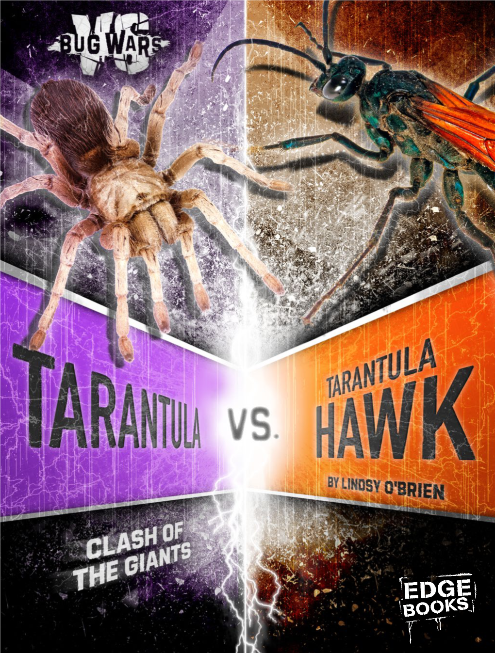 Tarantula Vs. Tarantula Hawk: Clash of the Giants