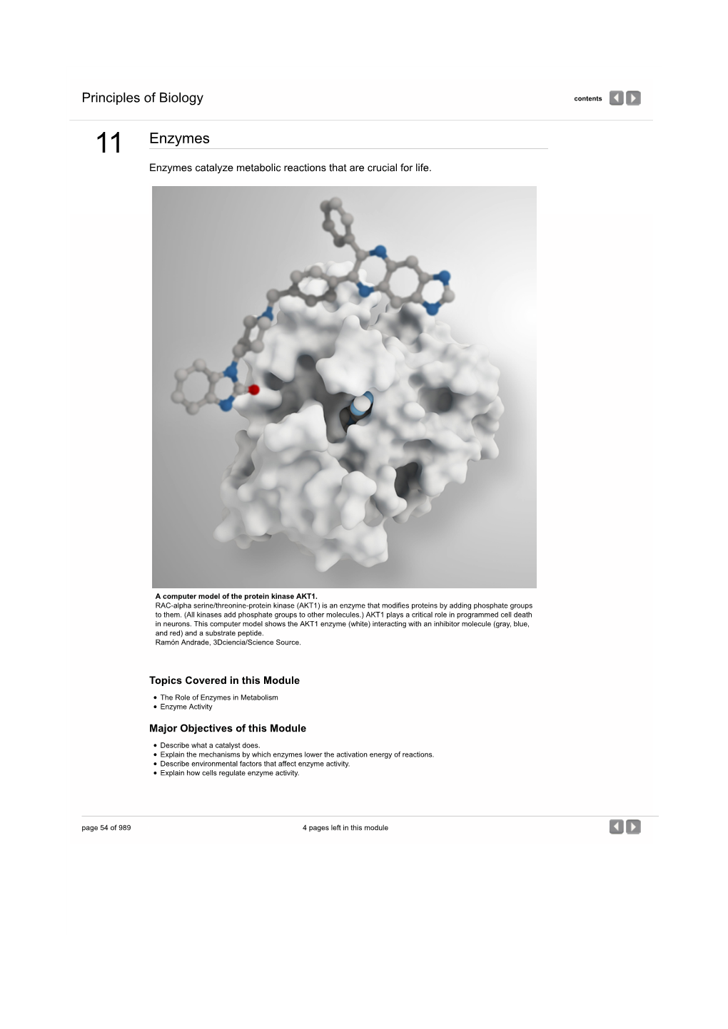 Enzymes | Principles of Biology from Nature Education