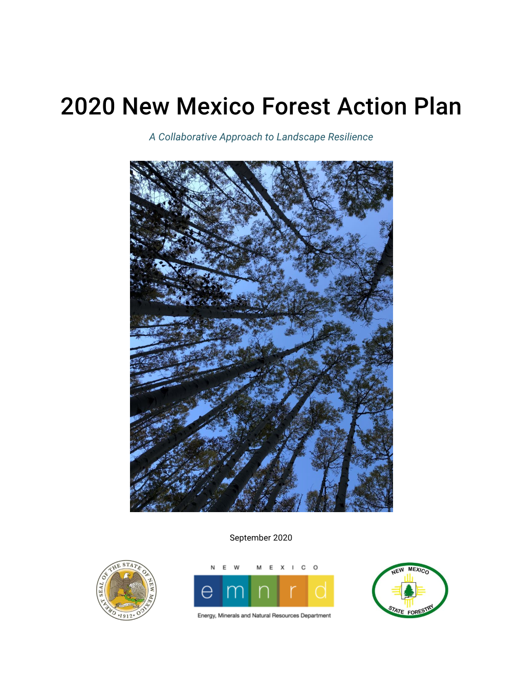 2020 New Mexico Forest Action Plan