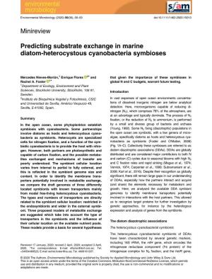 Predicting Substrate Exchange in Marine Diatom‐Heterocystous