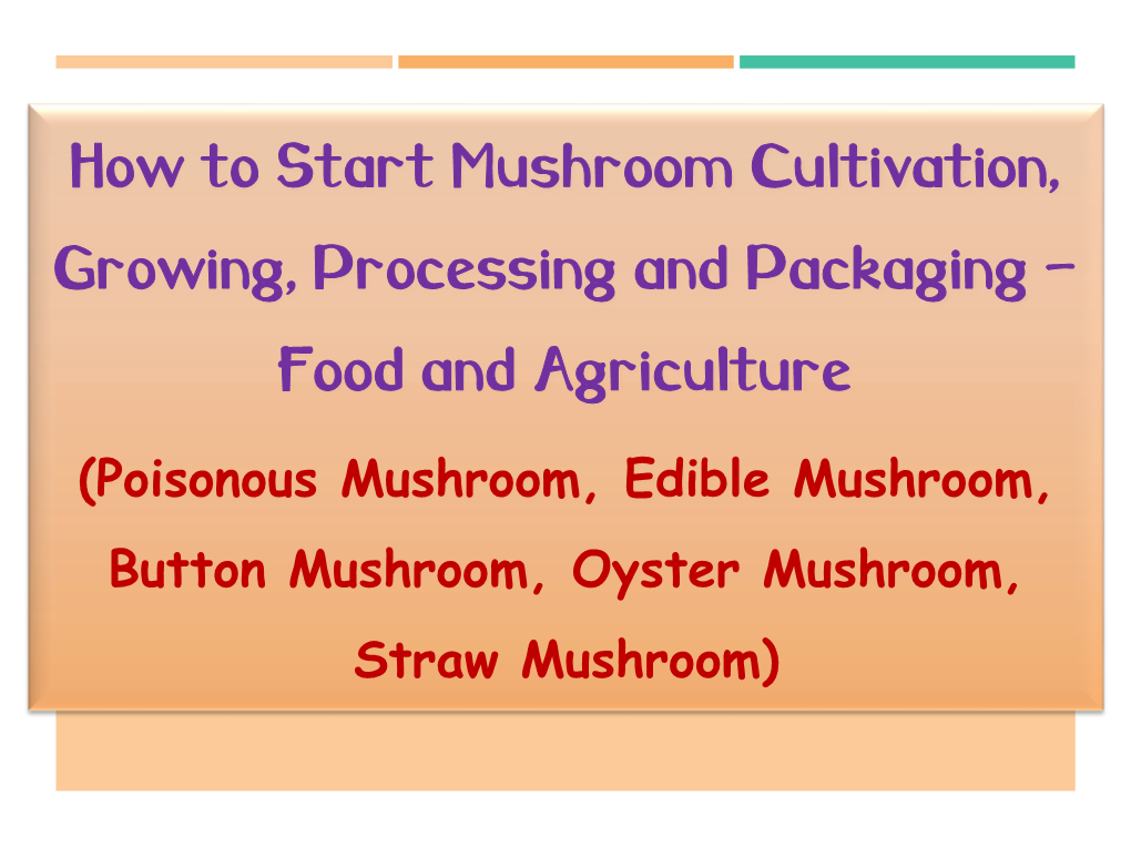 How to Start Mushroom Cultivation, Growing, Processing and Packaging - Food and Agriculture