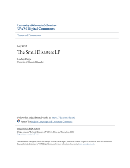 The Small Disasters Lp
