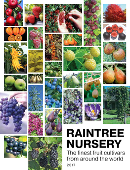 RAINTREE NURSERY the Finest Fruit Cultivars from Around the World 2 017 1 Celebrating 44 Years Grow Your Own Food More