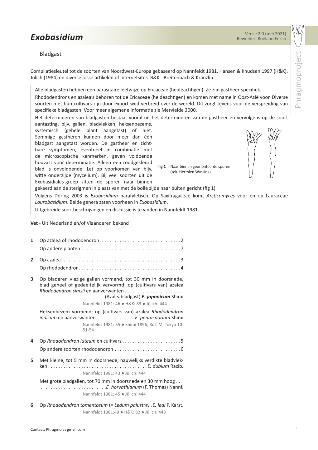 Exobasidium Bewerker: Roeland Enzlin