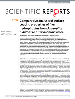 Comparative Analysis of Surface Coating Properties of Five
