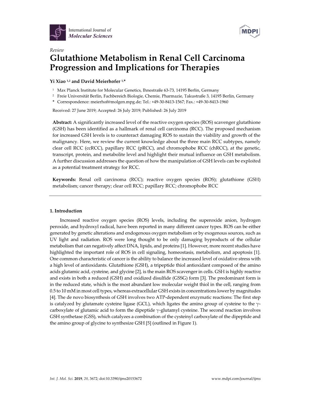 Glutathione Metabolism in Renal Cell Carcinoma Progression and Implications for Therapies