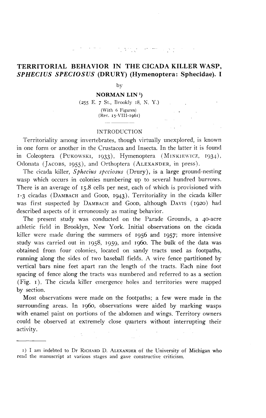 TERRITORIAL BEHAVIOR in the CICADA KILLER WASP, SPHECIUS SPECIOSUS (DRURY) (Hymenoptera: Sphecidae)