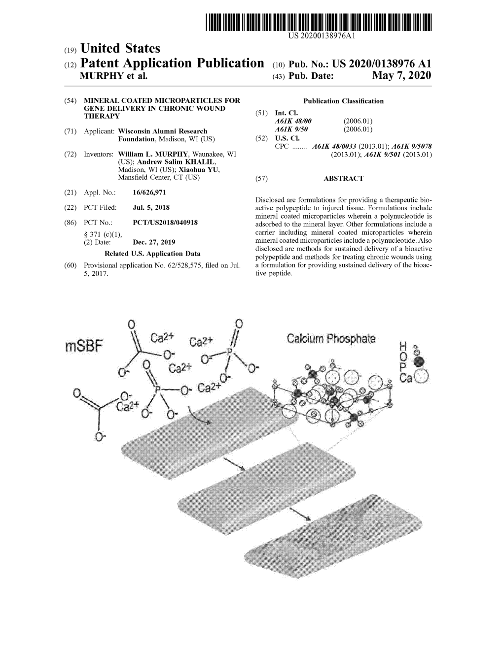 View U.S. Patent Application Publication No. US-2020-0138976