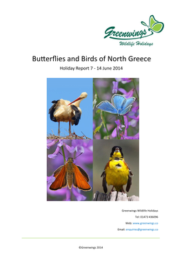 Butterflies and Birds of North Greece Holiday Report 7 - 14 June 2014