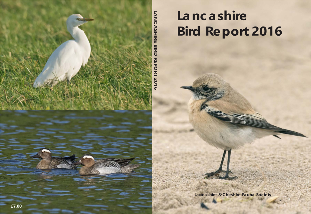 Lancashire Bird Report 2016 Lancashire Bird Report 2016